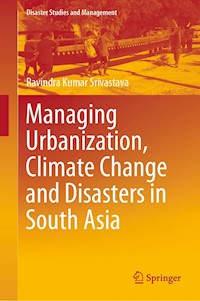 Managing Urbanization, Climate Change and Disasters in South Asia - Ravindra Kumar Srivastava - E-Book