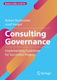 Consulting Governance - Robert Bodenstein - E-Book