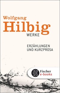 Werke, Band 2: Erzählungen und Kurzprosa - Wolfgang Hilbig - E-Book