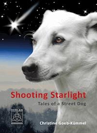 Shooting Starlight - Christine Goeb-Kümmel - E-Book