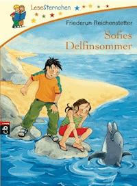 Sofies Delfinsommer - Friederun Reichenstetter - E-Book