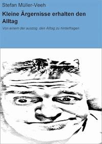 Kleine Ärgernisse erhalten den Alltag - Stefan Müller-Veeh - E-Book
