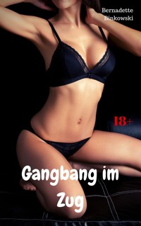 Gangbang im Zug - Bernadette Binkowski - E-Book
