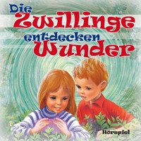 Die Zwillinge entdecken Wunder - Agnes Peters - Hörbuch
