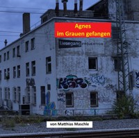 Agnes im Grauen gefangen - Matthias Maschle - E-Book