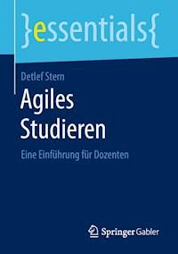 Agiles Studieren - Detlef Stern - E-Book
