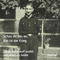 Schau dir das an, das ist der Krieg - Thomas Bohm - Hörbuch