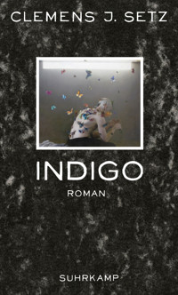 Indigo - Clemens J. Setz - E-Book