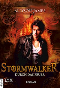 Stormwalker - Durch das Feuer - Allyson James - E-Book