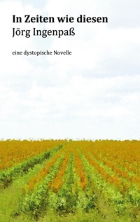 In Zeiten wie diesen - Jörg Ingenpaß - E-Book