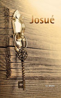 Josué - Cor Bruins - E-Book