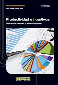 Productividad e incentivos - José Agustín Cruelles Ruíz - E-Book