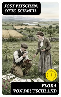 Flora von Deutschland - Jost Fitschen - E-Book