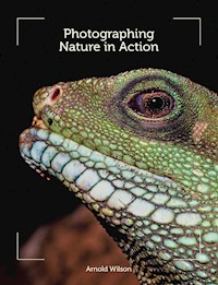 Photographing Nature in Action - Arnold Wilson - E-Book