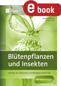 Blütenpflanzen und Insekten - Erwin Graf - E-Book