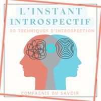 L'instant Introspectif - 50 techniques d'introspection - John Mac - Hörbuch
