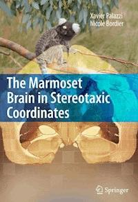 The Marmoset Brain in Stereotaxic Coordinates - Xavier Palazzi - E-Book