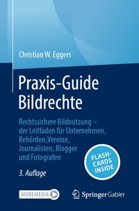 Praxis-Guide Bildrechte - Christian W. Eggers - E-Book