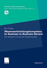 Wissensentwicklungskompetenz im Business-to-Business-Bereich - Ilka Griese - E-Book
