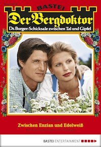 Der Bergdoktor 1758 - Andreas Kufsteiner - E-Book