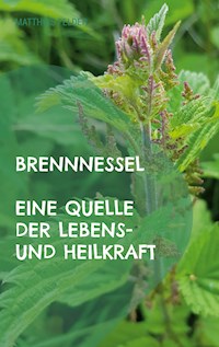 Brennnessel - Matthias Felder - E-Book