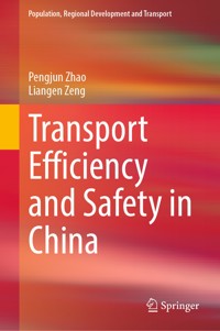 Transport Efficiency and Safety in China - Pengjun Zhao - E-Book
