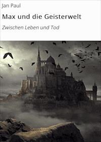 Max und die Geisterwelt - Jan Paul - E-Book