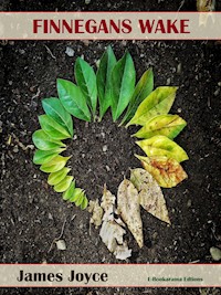 Finnegans Wake - James Joyce - E-Book