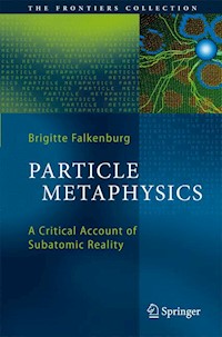 Particle Metaphysics - Brigitte Falkenburg - E-Book
