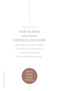 Der kleine Alltagsentschleuniger – Wie du dir jetzt (aber wirklich) zehn Minuten am Tag nimmst, um Luft zu holen und deine Gedanken zu ordnen - Owen O'Kane - E-Book