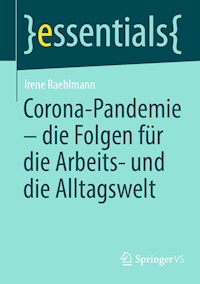 Corona-Pandemie – die Folgen für die Arbeits- und die Alltagswelt - Irene Raehlmann - E-Book