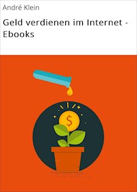 Geld verdienen im Internet - Ebooks - André Klein - E-Book