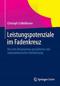 Leistungspotenziale im Fadenkreuz - Christoph Schließmann - E-Book