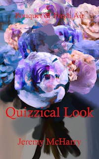 Quizzical Look - Jeremy McHarry - E-Book