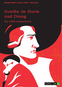 Goethe im Sturm und Drang. Motive und Sprache in Lyrik und Drama - Nadja Wolf - E-Book