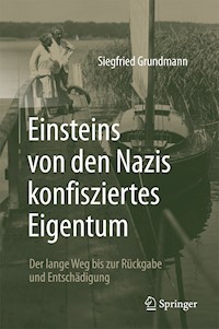 Einsteins von den Nazis konfisziertes Eigentum - Siegfried Grundmann - E-Book
