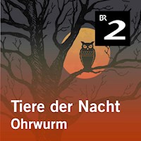 Tiere der Nacht: Ohrwurm - Silke Wolfrum - Hörbuch