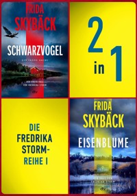 Die Fredrika Storm-Reihe I - Frida Skybäck - E-Book