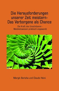 Die Herausforderungen unserer Zeit meistern - Claude Heini - E-Book