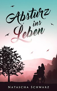 Absturz ins Leben - Natascha Schwarz - E-Book