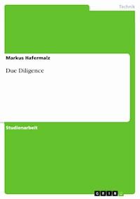 Due Diligence - Markus Hafermalz - E-Book