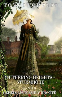 Sturmhöhe - Geheimakte Emely Brontë Bd 3 - Tomos Forrest - E-Book