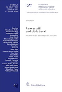 Panorama III en droit du travail -  - E-Book