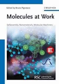 Molecules at Work -  - E-Book