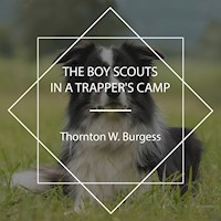 The Boy Scouts in a Trapper's Camp - Thornton W. Burgess - Hörbuch