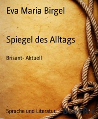 Spiegel des Alltags - Eva Maria Birgel - E-Book