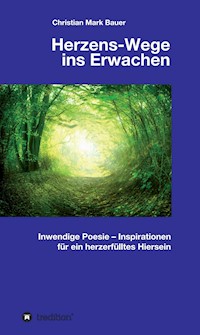 Herzens-Wege ins Erwachen - Christian Mark Bauer - E-Book