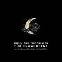 Musik zum Einschlafen - Musik zum Einschlafen - Hörbuch
