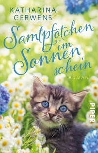 Samtpfötchen im Sonnenschein - Katharina Gerwens - E-Book