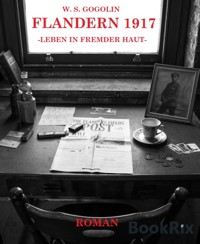 Flandern 1917 - W. S. Gogolin - E-Book